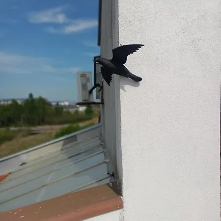 Beautiful Penthouse Apartament